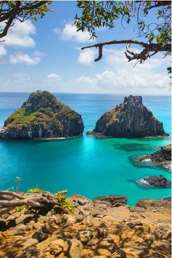 noronha 20